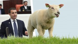 AKIN:BALIKESİR’İN MARKASI İSTİSMAR EDİLİYOR