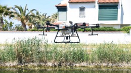 ZİHA’ların hedefinde sivrisinekler var 