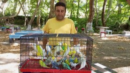 ÇAYLAK MESİRE ALANI ŞİMDİ DAHA RENKLİ