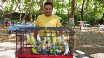 ÇAYLAK MESİRE ALANI ŞİMDİ DAHA RENKLİ