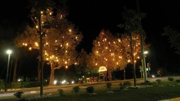 DEĞİRMEN BOĞAZI IŞIL IŞIL OLUYOR