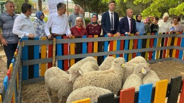 5 ton atık 10 kuzu   