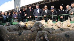 BBB, ÜRETİCİYİ DESTEKLEMEYE DEVAM EDİYOR