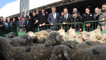 BBB, ÜRETİCİYİ DESTEKLEMEYE DEVAM EDİYOR