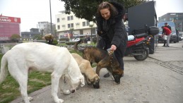 BBB’nin mamamatikleri devreye girdi