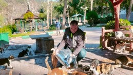 SOKAK HAYVANLARI UNUTULMADI