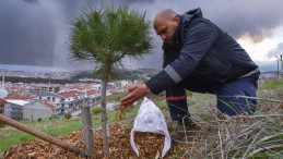 KARESİ’DE DOĞADAN GELEN DOĞAYLA BULUŞUYOR