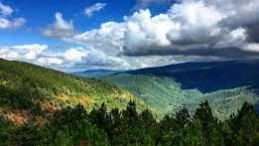 ORMANLARA GİRİŞLER YASAKLANDI