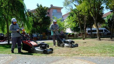 DAHA YEŞİL BİR ALTIEYLÜL
