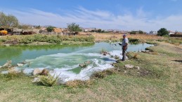 ALTIEYLÜL BELEDİYESİ’NDEN İLAÇLAMA