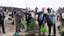 Her Dikilen Fidan Geleceğe Bir Armağan