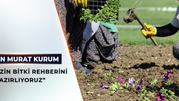 ŞEHİR PEYZAJLARINA BAKANLIK STANDARDI GELİYOR
