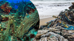 MAVİ SULARDAN 224 FUTBOL SAHASI BÜYÜKLÜĞÜNDE HAYALET AĞ ÇIKARILDI