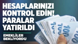 EMEKLİLERİN FARKLARI HESAPLARA YATTI! HESAPLARINIZI KONTROL EDİN