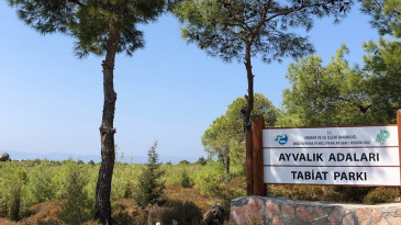 AYVALIK ADALARI TABİAT PARKINI 73 İN 481 KİŞİ ZİYARET ETTİ