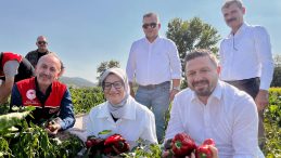 Bigadiç Çekirdekli’de Biber Hasadı Coşkusu