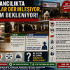 HAYVANCILIKTA SORUNLAR DERİNLEŞİYOR, ÇÖZÜM BEKLENİYOR