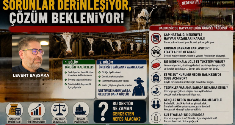 HAYVANCILIKTA SORUNLAR DERİNLEŞİYOR, ÇÖZÜM BEKLENİYOR
