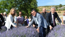 ALTIEYLÜL’DE MOR ŞÖLEN BÜYÜLEDİ