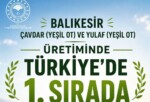 Balıkesir, Çavdar ve Yulaf Yeşil Ot Üretiminde Türkiye Birincisi
