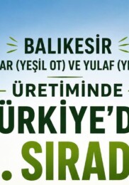Balıkesir, Çavdar ve Yulaf Yeşil Ot Üretiminde Türkiye Birincisi